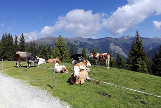 Sommerurlaub im Nationalpark Hohe Tauern 09