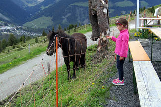 Sommerurlaub im Nationalpark Hohe Tauern 22